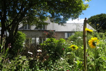 Vue du jardin devant la maison avec des marguerites et des tournesols.