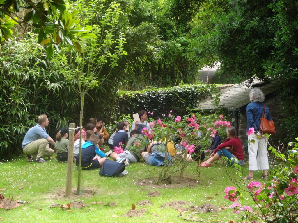 Atelier Arbres dans le cadre d'une visite avec une classe à la maison Jacques Prévert