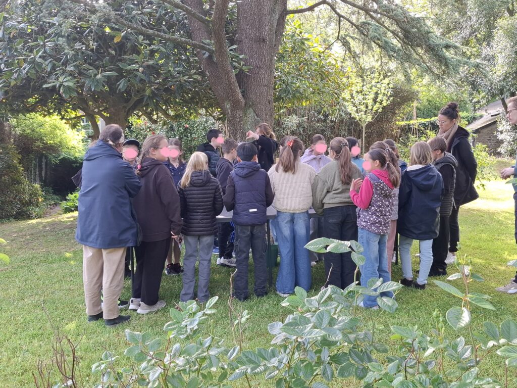 atelier "tournesols tournesols" dans le jardin de la maison Jacques Prévert